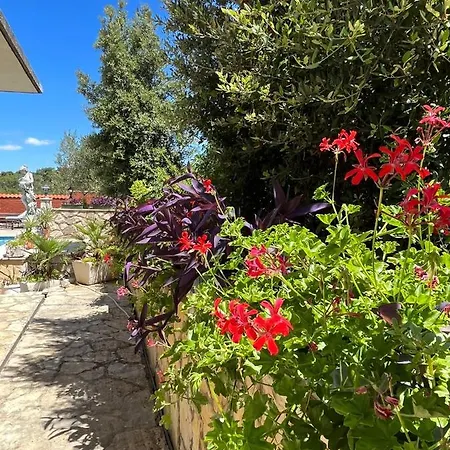 Apartamento Gorana With Swimming Pool